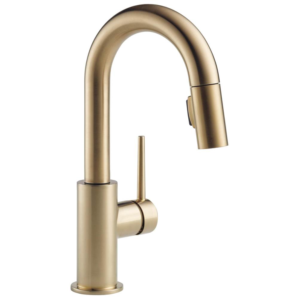 Delta Faucet  Bar Sink Faucets item 9959-CZ-DST