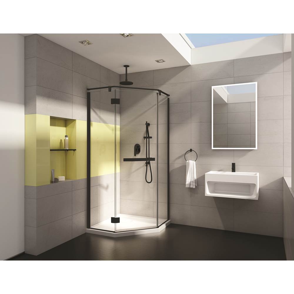 Fleurco  Shower Doors item PJNA38-33-40