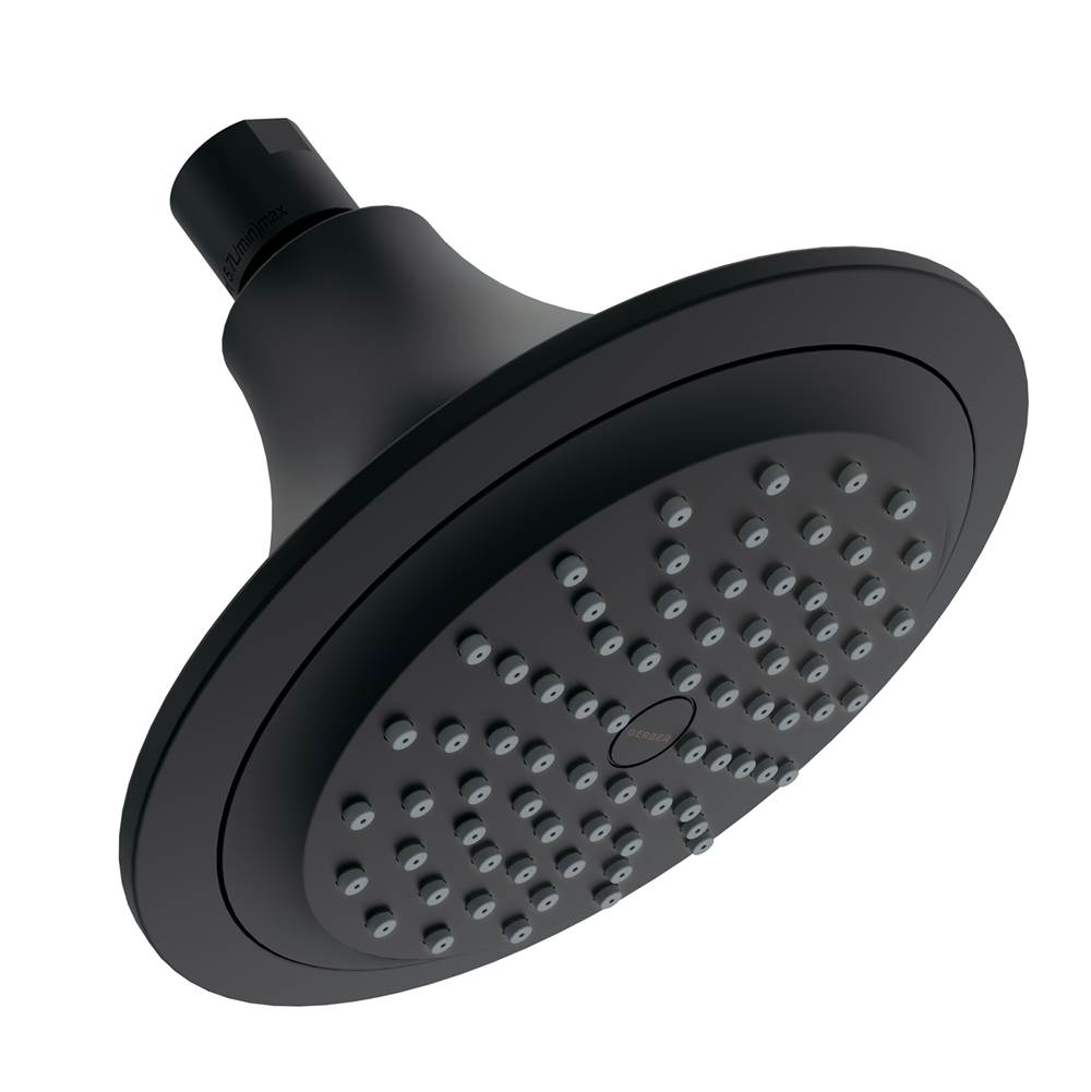 Gerber Plumbing Single Function Shower Heads Shower Heads item D460234BS