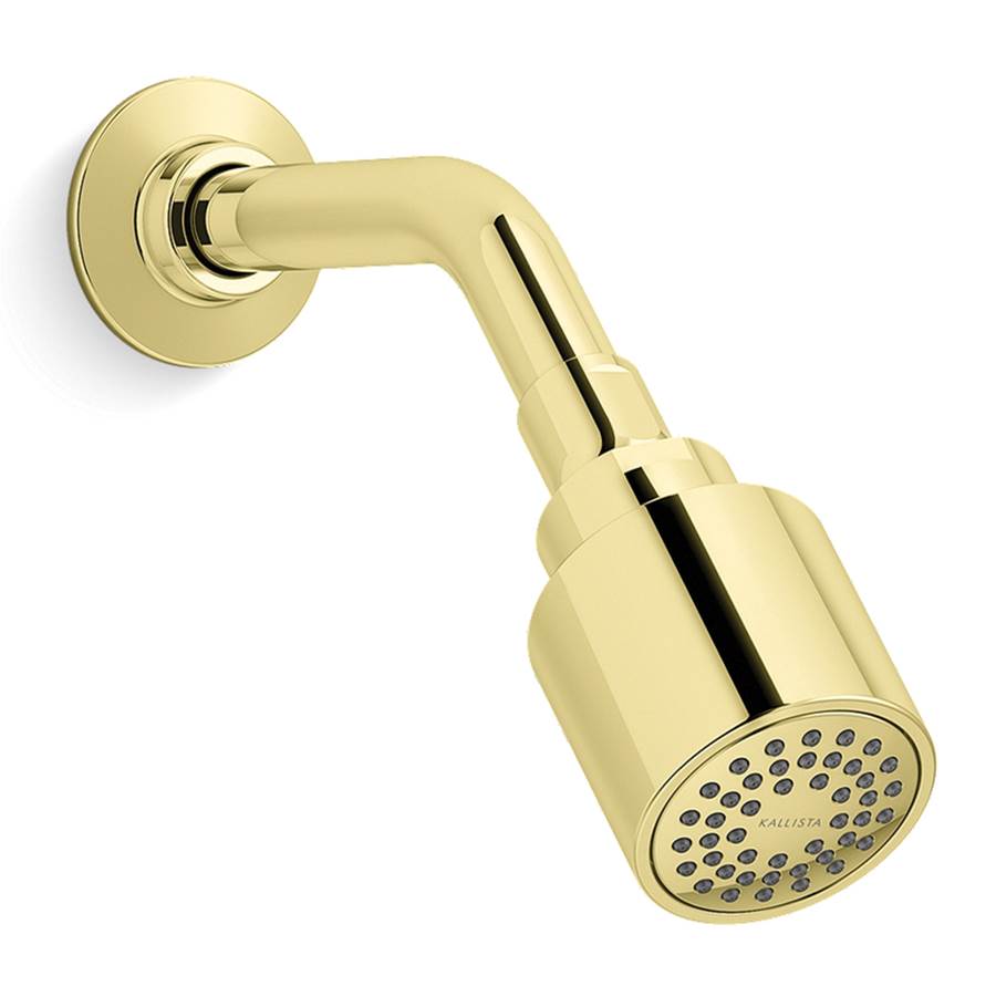 Kallista  Shower Heads item P21386-00-ULB